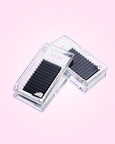 THE ESSENTIAL COLLECTION